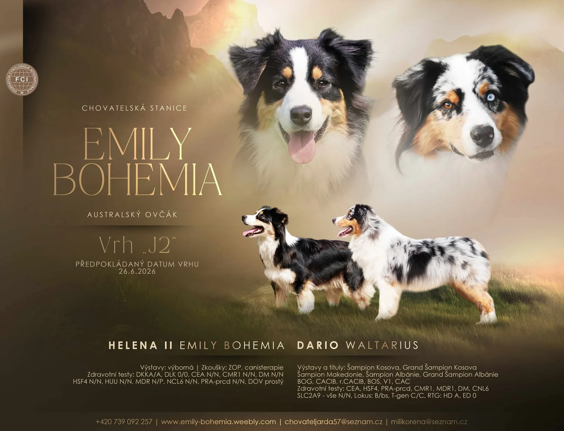 Ohlášení vrhu J2: Helena II Emily Bohemia a Dario Waltarius
